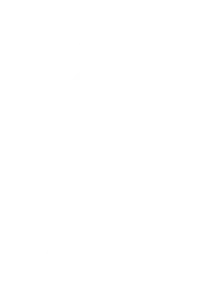 13__logo-landing