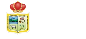 15__2-Alcaldia